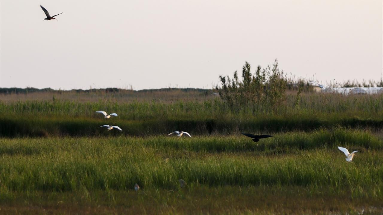 "Burası Türkiye`ye en çok yeni kuş türü katkısı sağlayan alan"