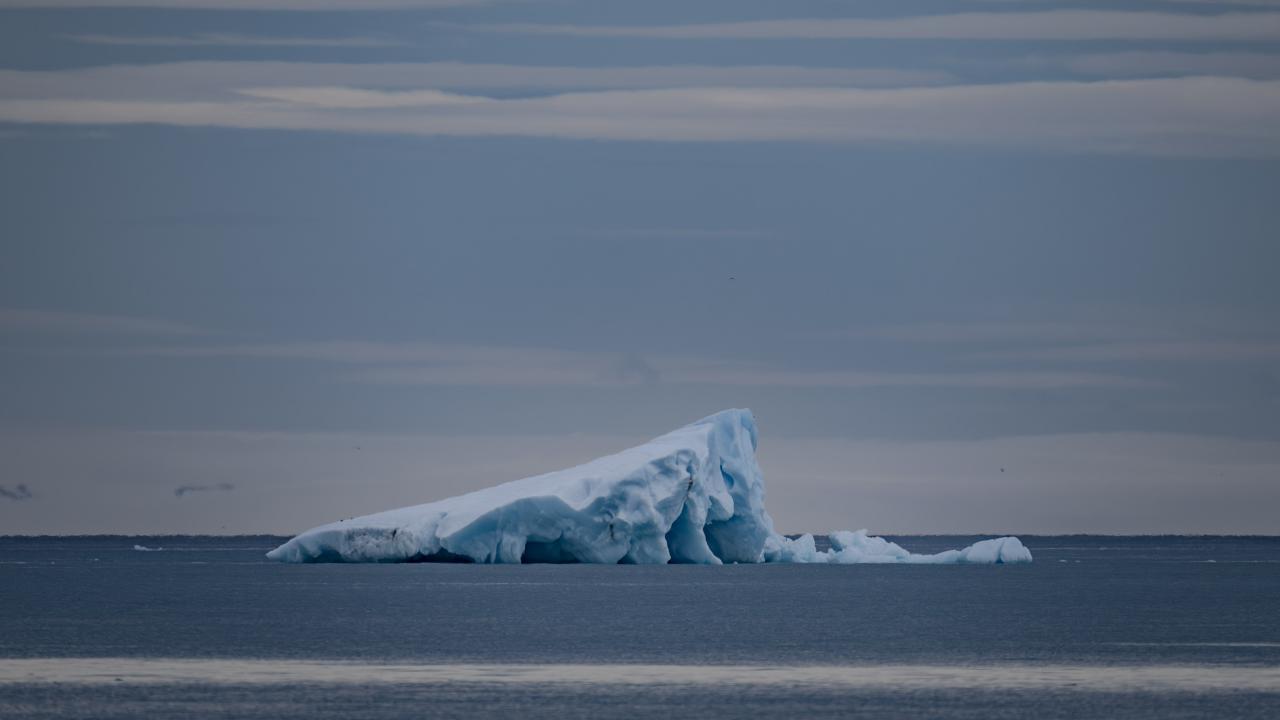 Arktik deniz buzundaki kayıp hızlı biçimde artıyor