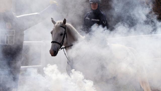 Jandarmanın sahadaki yardımcıları zorlu eğitimden geçiyor