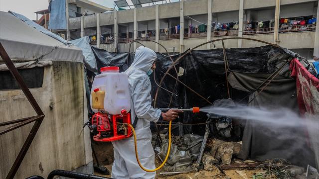Gazze'de haşerelere karşı ilaçlama çalışması yapıldı