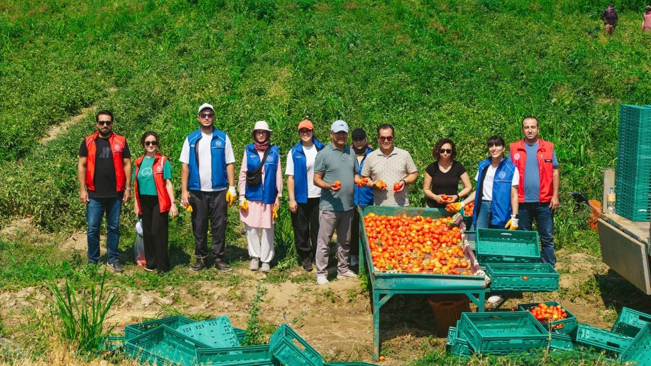 Gençlerden tarımsal üretime destek: ‘Gönüllü Hasat Etkinliği’ takvimi belli oldu