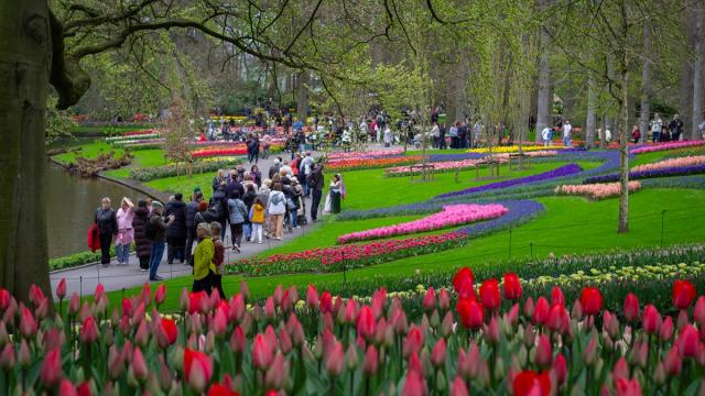 Dünyanın en büyük lale bahçelerinden 'Keukenhof' ziyarete açıldı