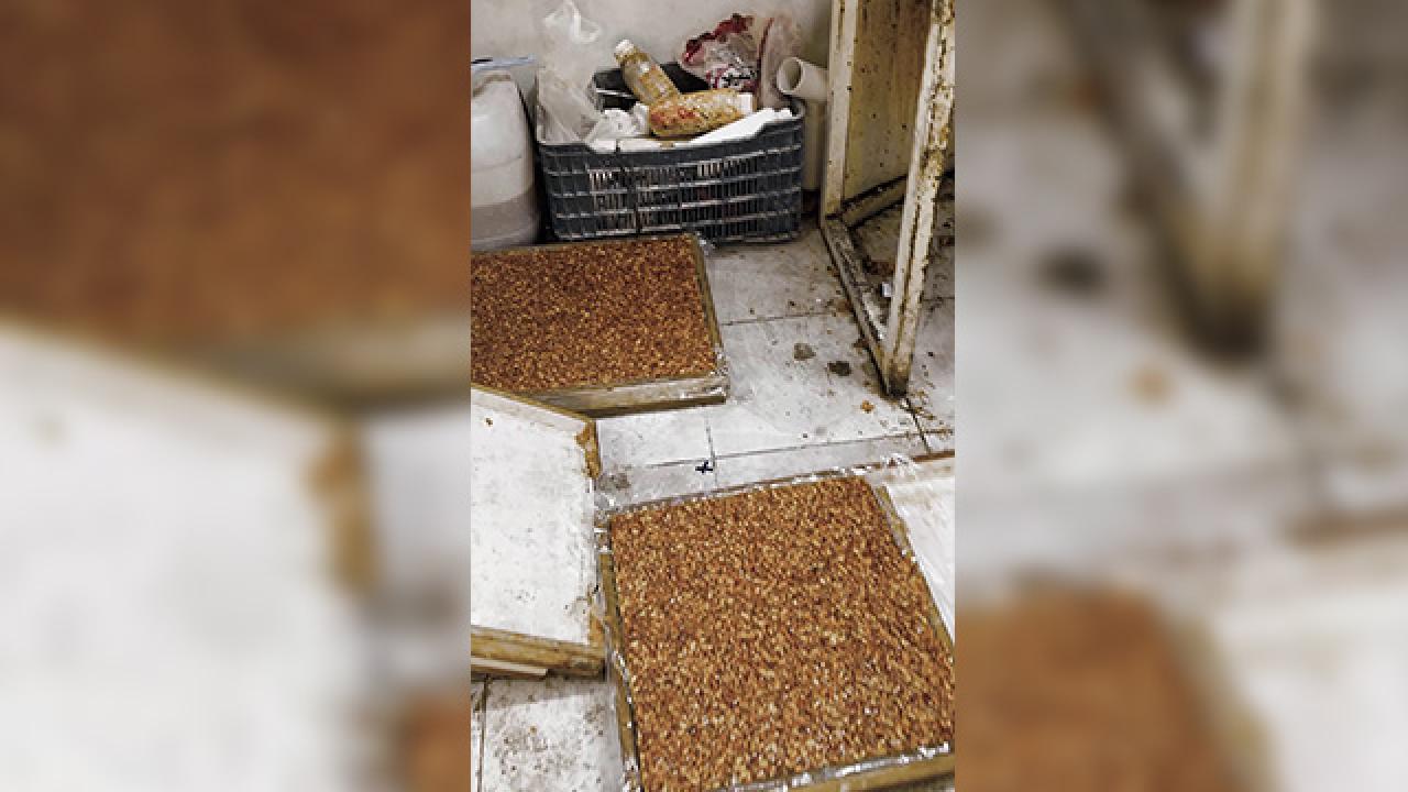 Kötü koku gerçeği ortaya çıkardı: Evden kaçak imalathane çıktı