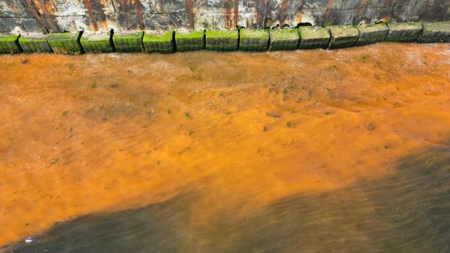 Tekirdağ'da denizin rengi değişti