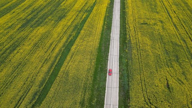 Tekirdağ'da kanola tarlaları sürücülere görsel şölen sunuyor