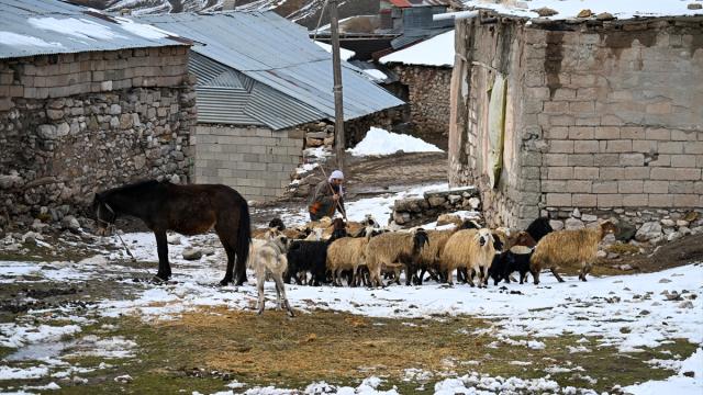Van ve Bitlis'in kırsal bölgelerinde zorlu kış şartlarıyla mücadele sürüyor