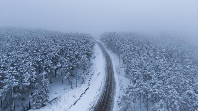 Yozgat'ta nisan ayında yağan kar ormanları beyaza bürüdü