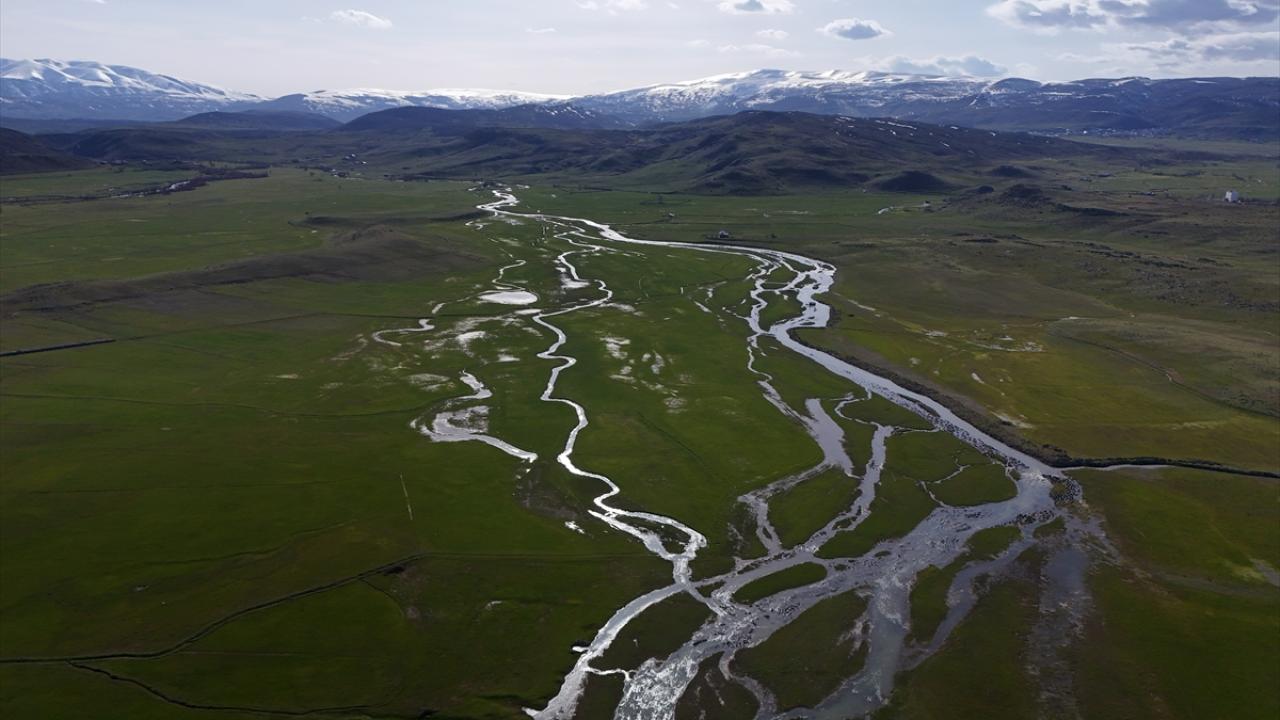 Kentin güneyinde bahar yaşanıyor