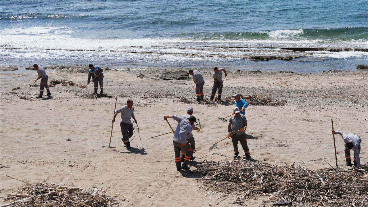 Alanya'da koruma alındaki kum zambakları ve caretta caretta yuvalama alanları temizlendi