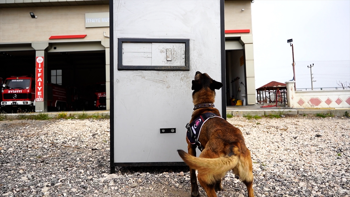 Eğitimler disiplinle sürdürülüyor