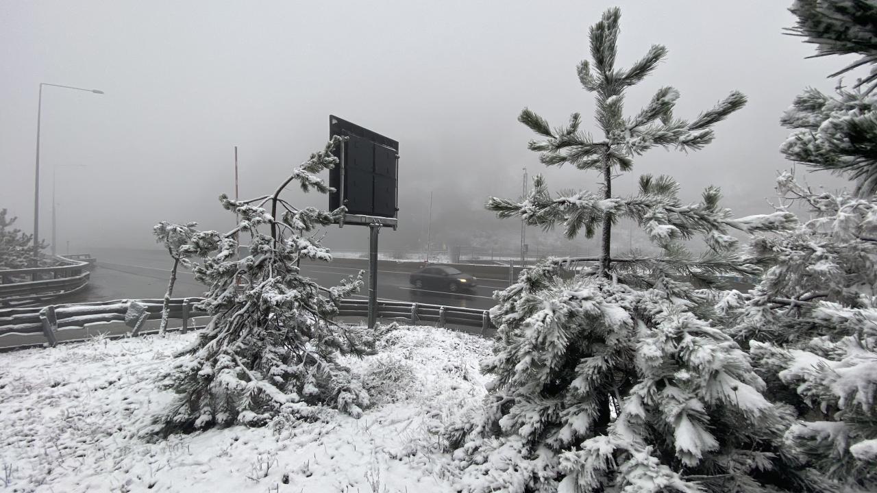 BOLU