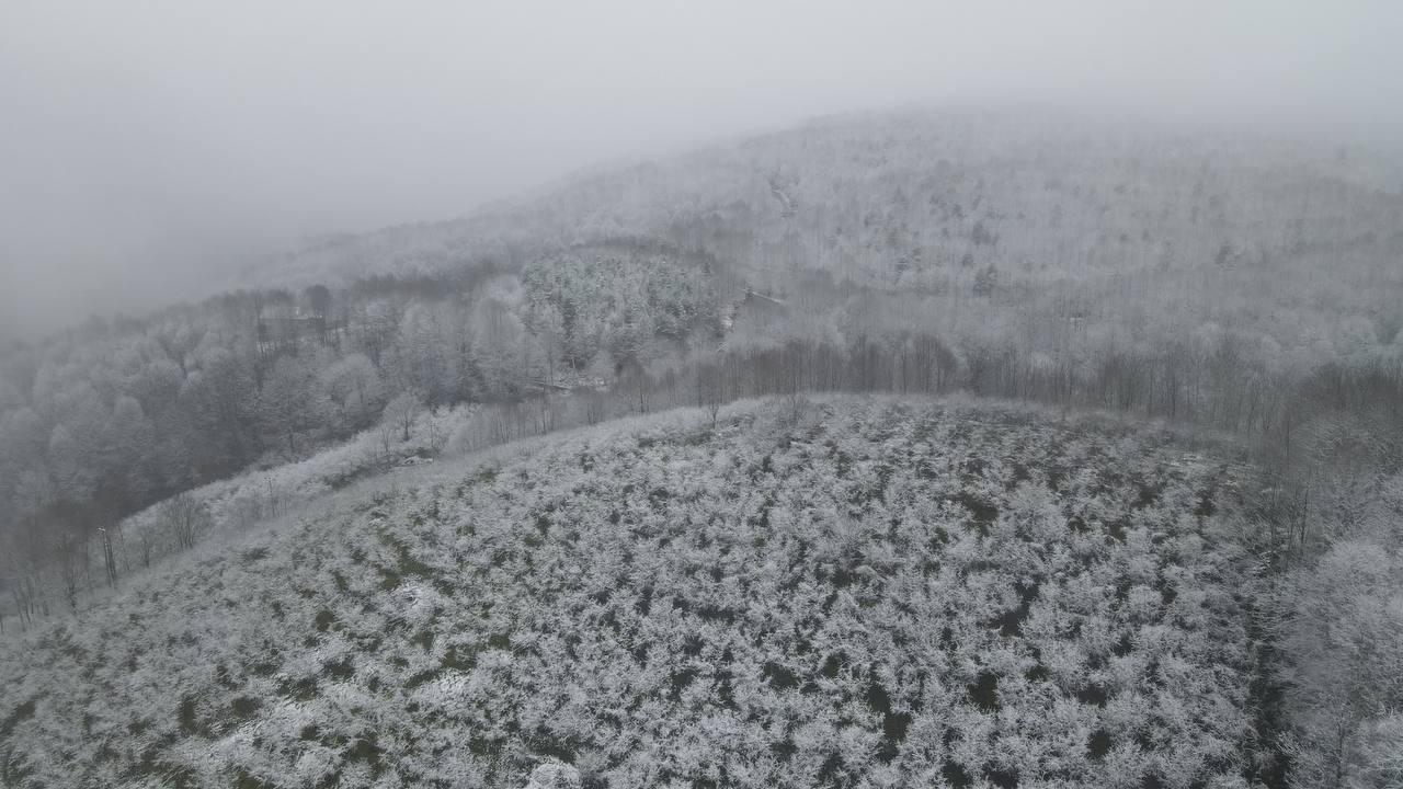 SAKARYA
