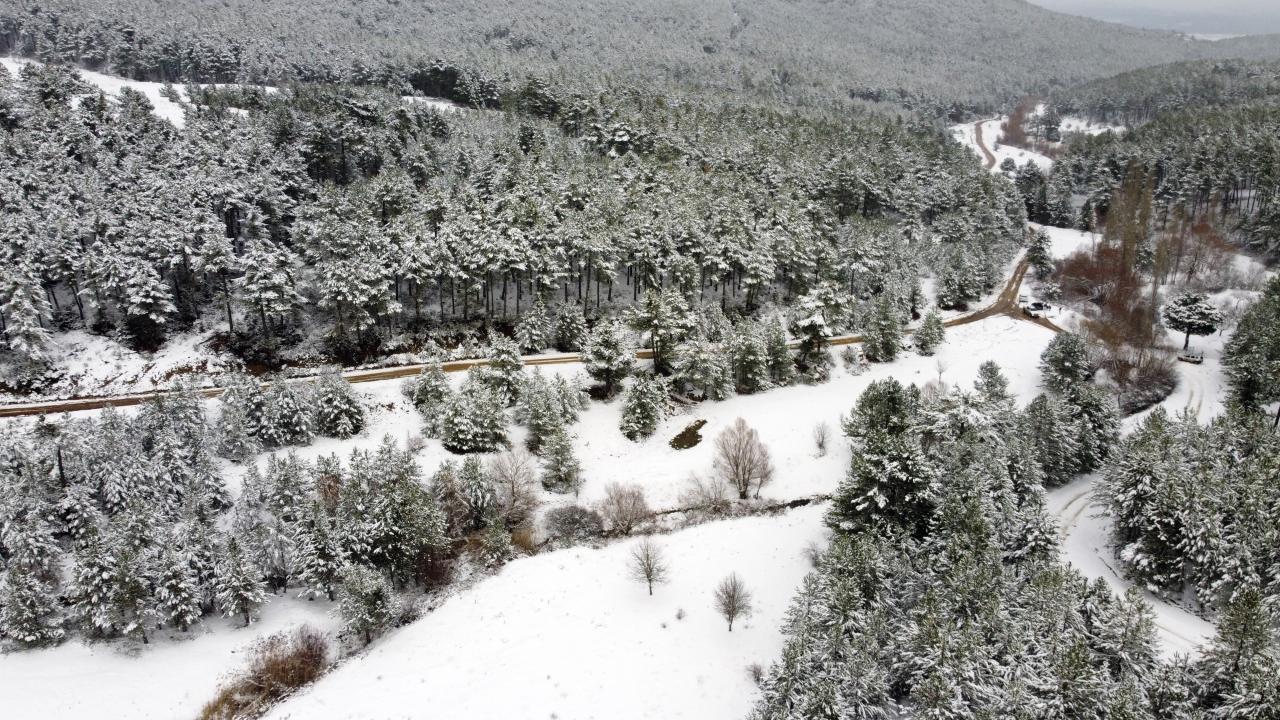 UŞAK