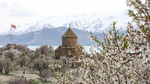 Van Gölü’nün incisi Akdamar baharla renklendi