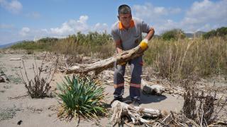 Alanya'da koruma alındaki kum zambakları ve caretta caretta yuvalama alanları temizlendi