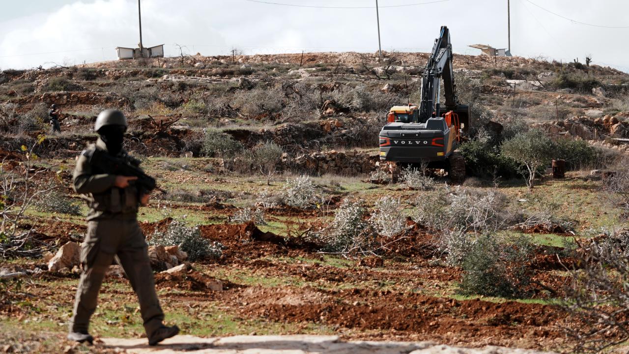 İsrailli işgalciler Batı Şeria'da 400 zeytin ağacını kesti