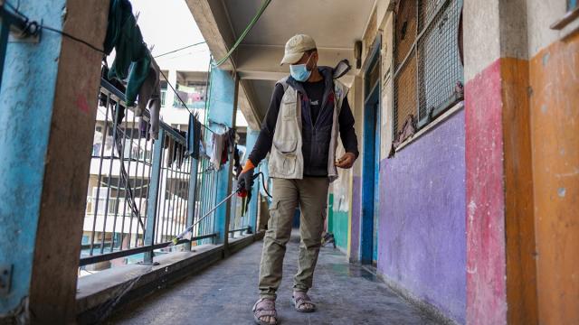 Gazze'de haşerelere karşı ilaçlama çalışması yapıldı