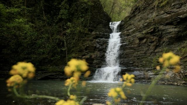 Kabaceviz Şelaleleri baharla yeşil örtüsüne kavuştu