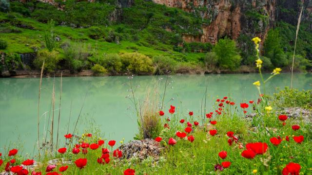 Kızılin Kanyonu baharın renklerine büründü