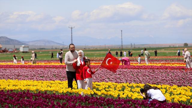 Karaman lale tarlalarıyla ziyaretçi çekiyor