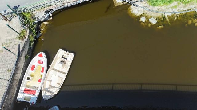 Küçükçekmece'deki Menekşe Deresi'nin rengi değişti