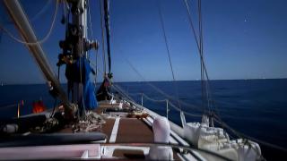 Küresel Sumud Filosu: 60'dan fazla teknede 39 farklı ülkeden 345 katılımcı bulunuyor