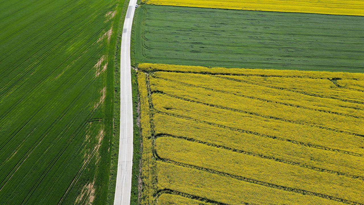 Baharın renkleri tarlalara yansıdı