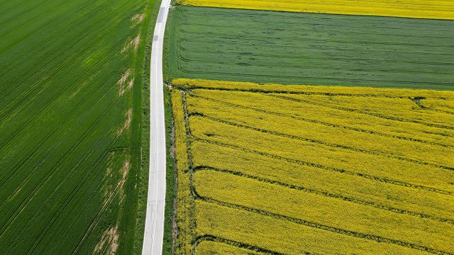 Baharın renkleri tarlalara yansıdı