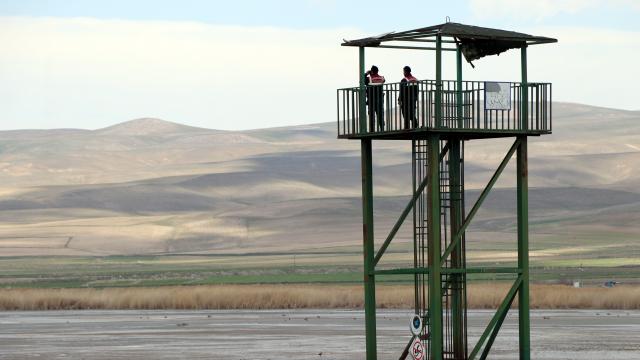 Van'da jandarma, flamingolar için 7/24 denetimde