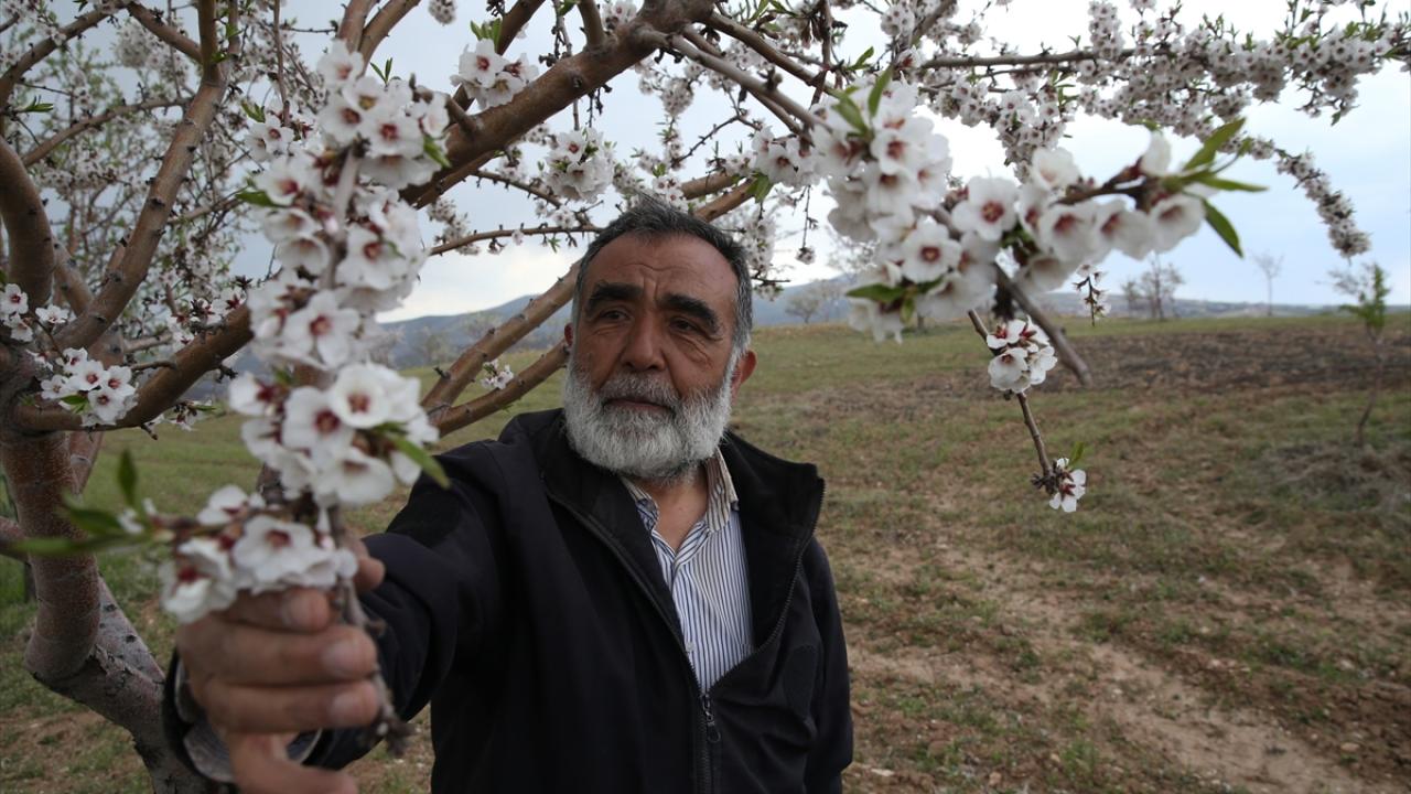"Günde 100-150 civarında hasta baktığımız oldu"