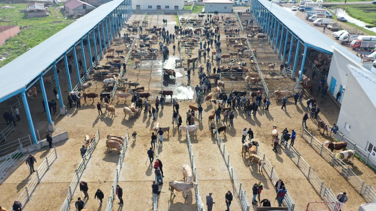 4 - Kurban yurt dışında kesilebilir mi?