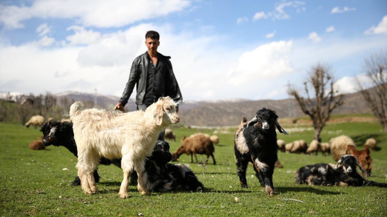 "Bu yıl kış mevsimi uzun sürdü"