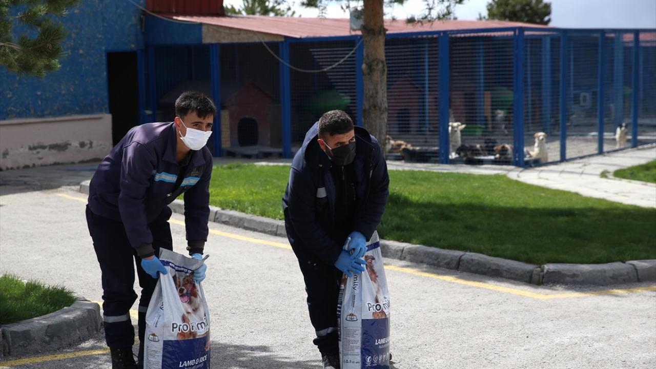 İhbarın gelmesiyle barınaktan çıkışımız yaklaşık 5 dakika"