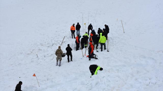 Artvin'de çığ altında kalan çobanı arama çalışmaları sürüyor