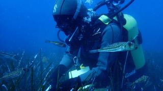 Antalya'da "Deniz Biyoçeşitliliği ve Okuryazarlığı Projesi" ile deniz ekosistemi araştırılıyor