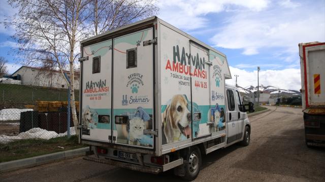 "112 ihbar sistemi" Erzurum'da son 2 yılda sahipsiz köpeklerle mücadeleye hız kazandırdı
