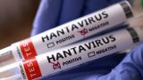 Yolcu gemisi MV Hondius'ta 5 hantavirüs vakası doğrulandı