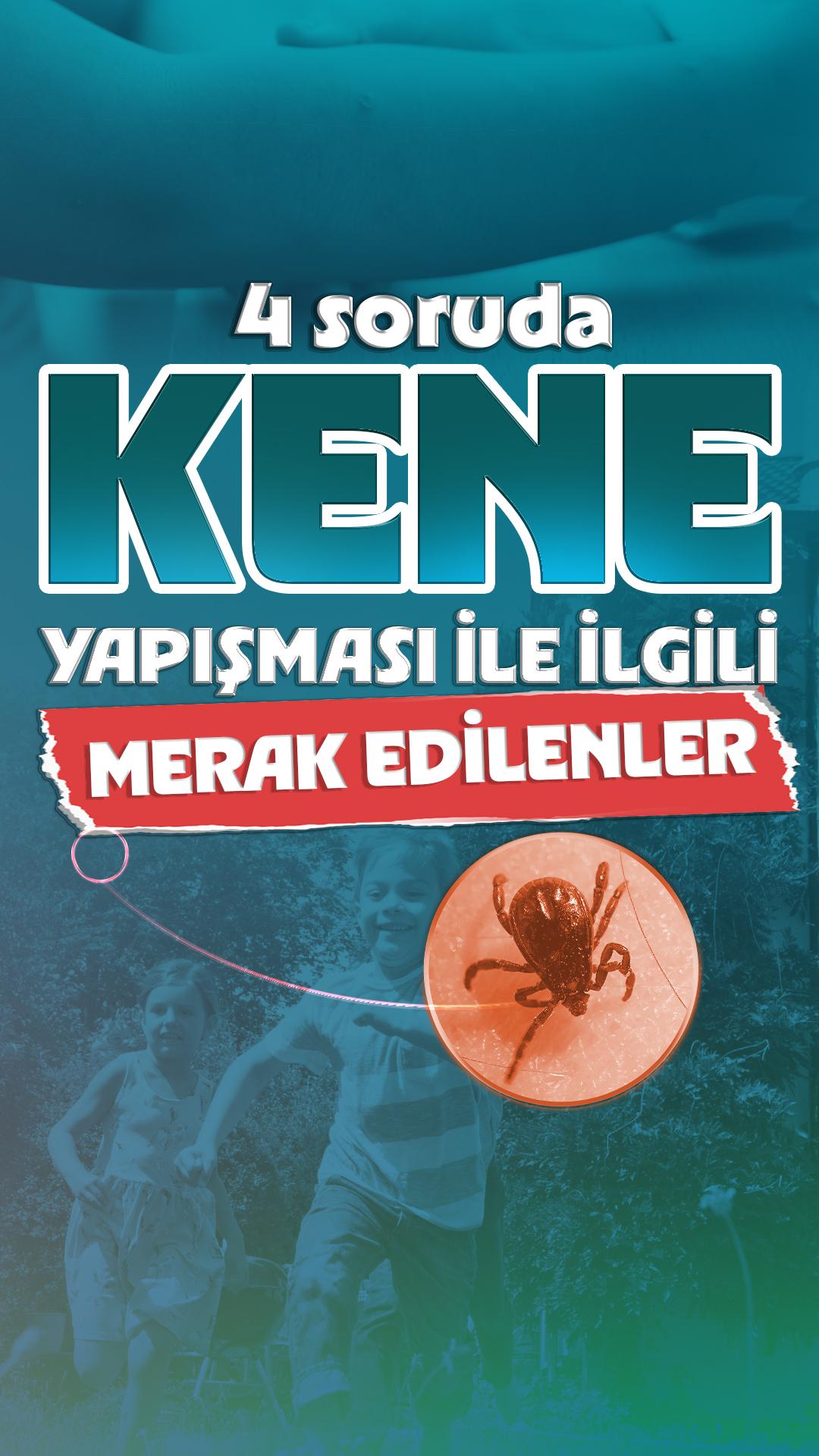 4 soruda kene yapışması ile ilgili merak edilenler
