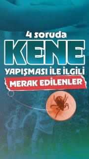 4 soruda kene yapışması ile ilgili merak edilenler