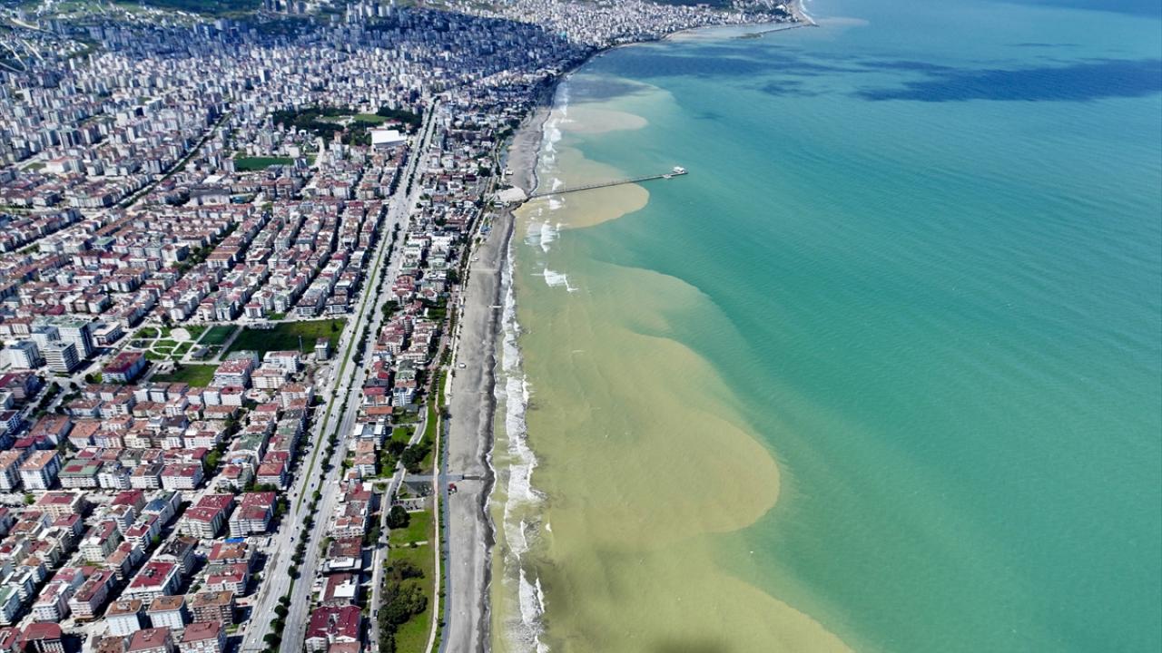Samsun da Sa anak Denizin Rengini De i tirdi TRT Haber Foto Galeri Samsun da Sa anak Denizin Rengini De i tirdi TRT Haber Foto Galeri