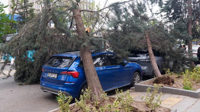 Ankara'da şiddetli rüzgarda devrilen ağaçlar nedeniyle 2 araç hasar gördü