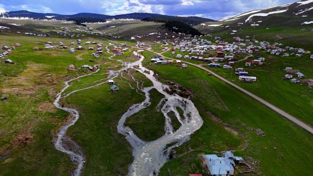 Ardahan'ın yaylaları baharla canlanmaya başladı