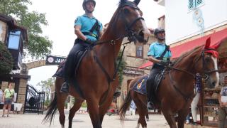 Side Antik Kenti'nde "atlı jandarma" mesaisi başladı