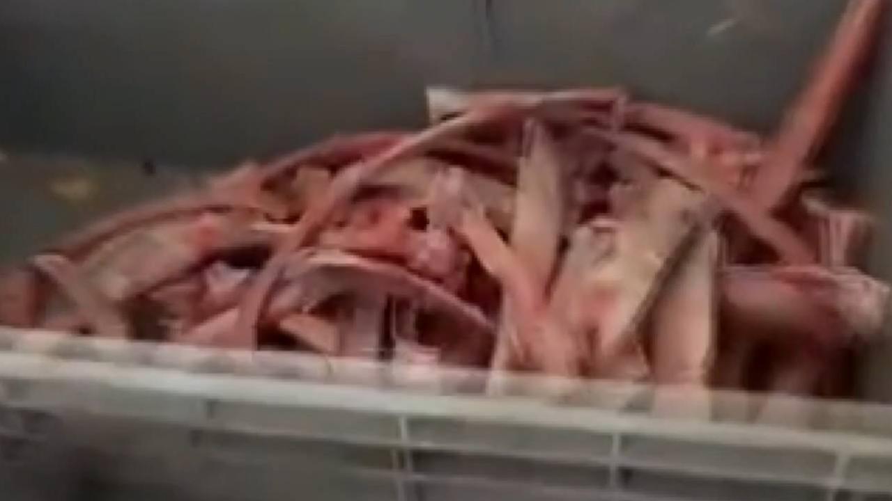 Ankara'da sağlığı tehdit eden 40 ton et ele geçirildi