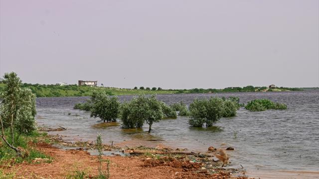 Gaziantep'te baraj seviyesi yükselince fıstık bahçesi su altında kaldı