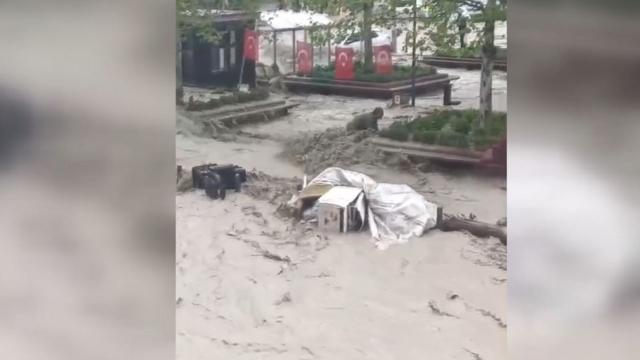 Sele kapılıp 100 metre sürüklendi: Ağaca sarılarak hayatta kaldım
