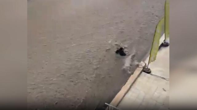 Ankara’da sele kapılan kişiyi kurtarmaya çalışanlar vatandaşlar da sürüklendi
