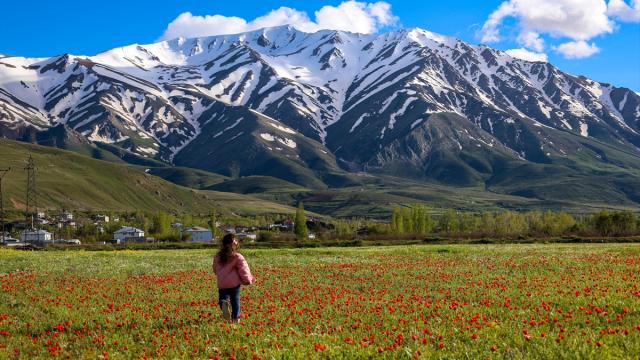 Artos Dağı'nın zirvesinde kış, eteklerinde bahar yaşanıyor