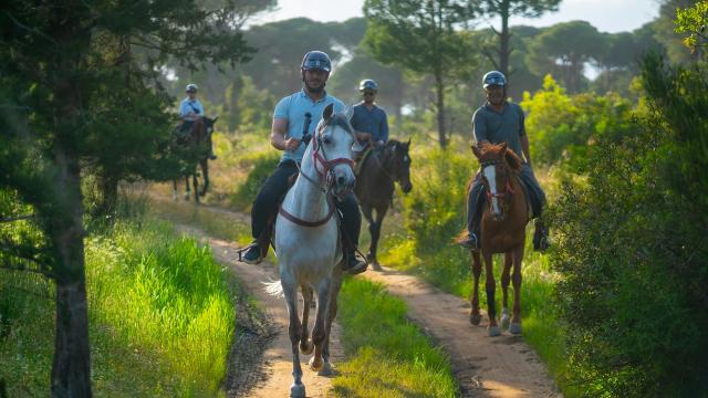 Antalya'da at safari
