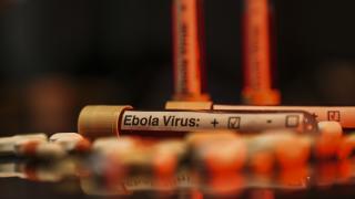 Ebola mücadelesine Batı'dan bütçe darbesi: Salgın küresel riske dönebilir